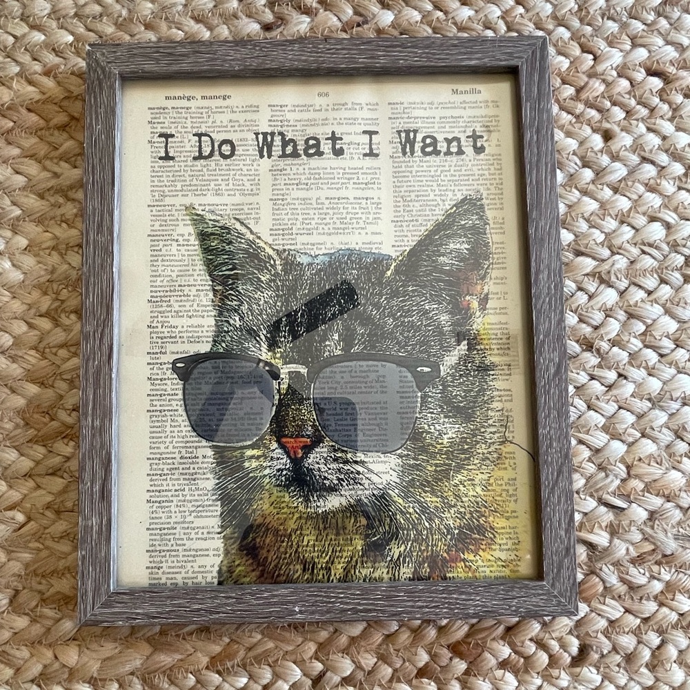 I Do What I Want Cat Canvas